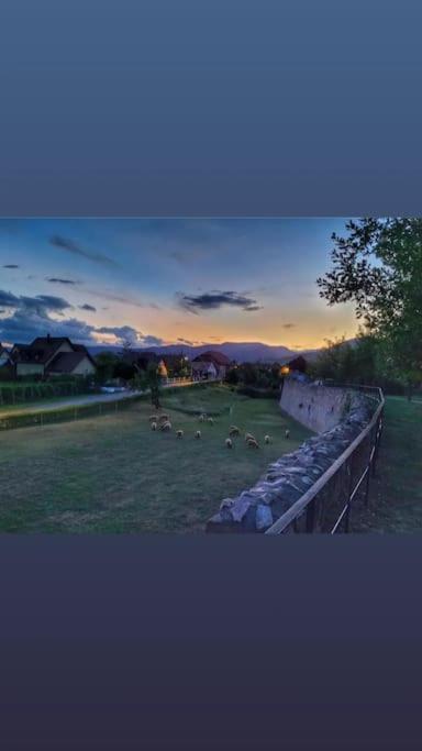 Gite Boniface Pour 2 Pers Bergheim Bagian luar foto