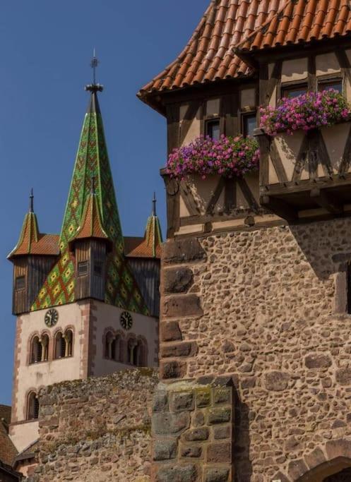 Gite Boniface Pour 2 Pers Bergheim Bagian luar foto